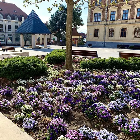 Ciao Lilla Apartament