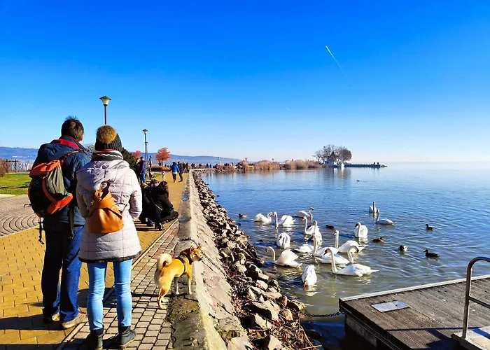 Ciao Lilla דירה *